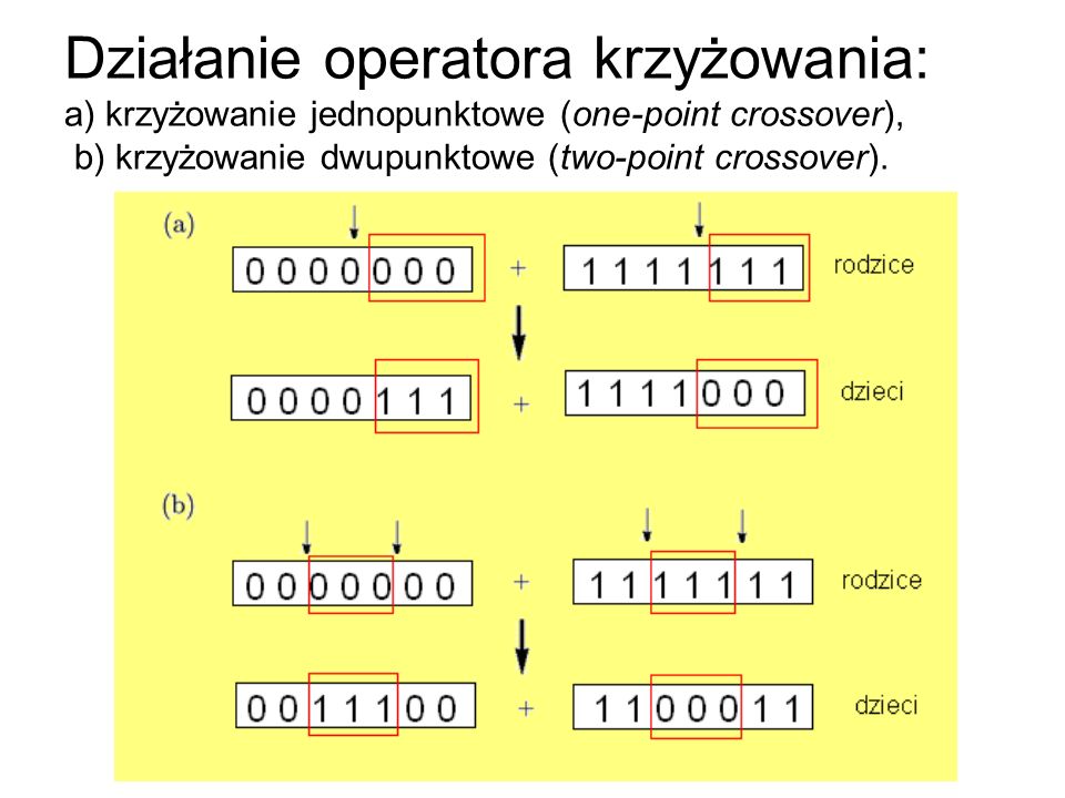 Działanie operatora krzyżowania: a) krzyżowanie jednopunktowe (one-point crossover), b) krzyżowanie dwupunktowe (two-point crossover).