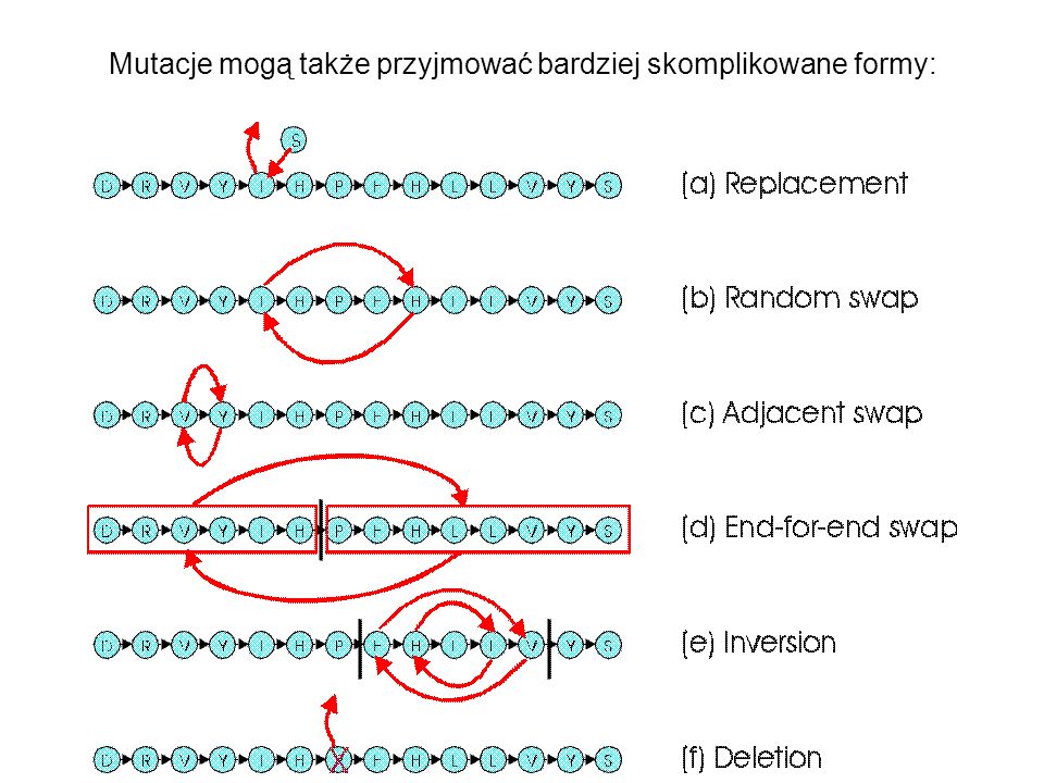 Mutacje mogą także przyjmować bardziej skomplikowane formy: