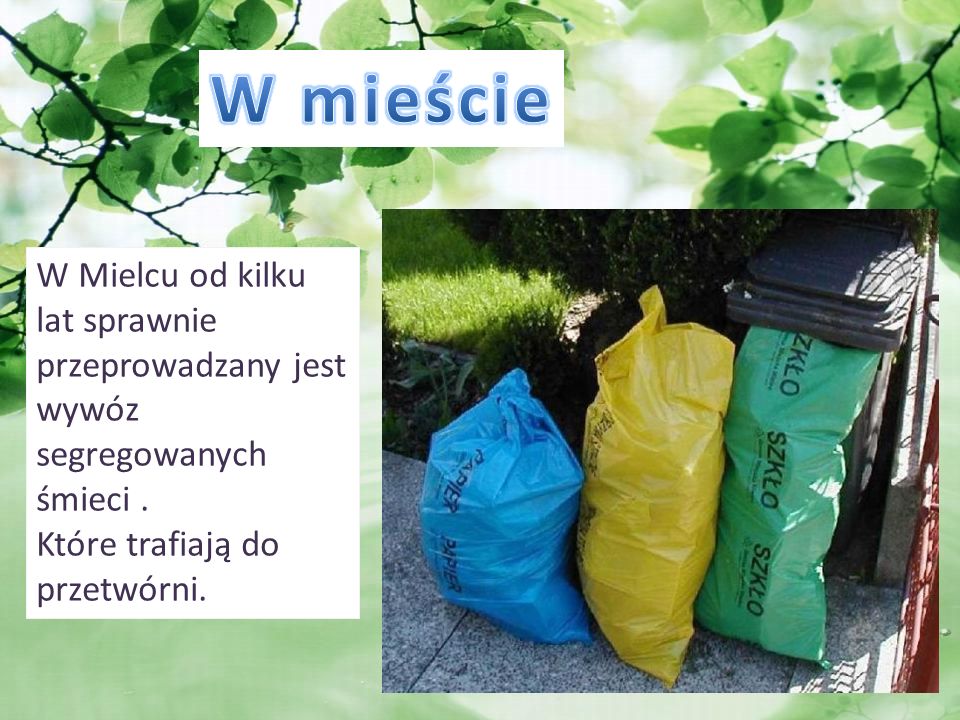 W mieście W Mielcu od kilku lat sprawnie przeprowadzany jest wywóz segregowanych śmieci .