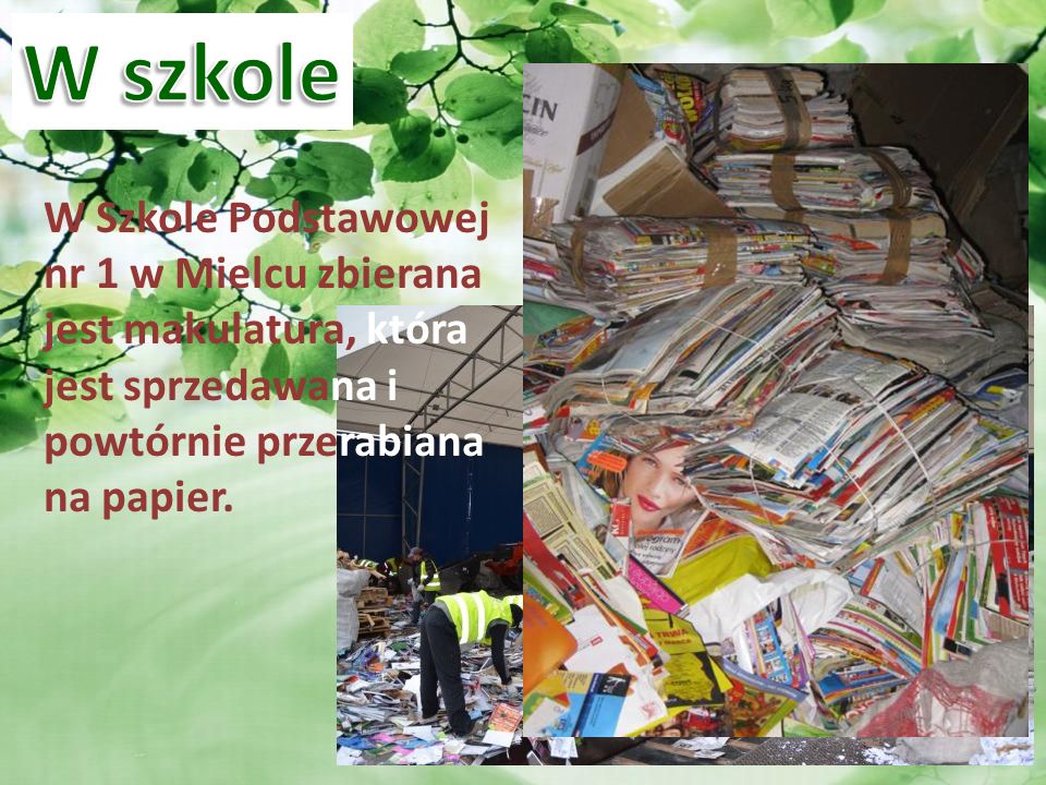W szkole W Szkole Podstawowej nr 1 w Mielcu zbierana jest makulatura, która jest sprzedawana i powtórnie przerabiana na papier.
