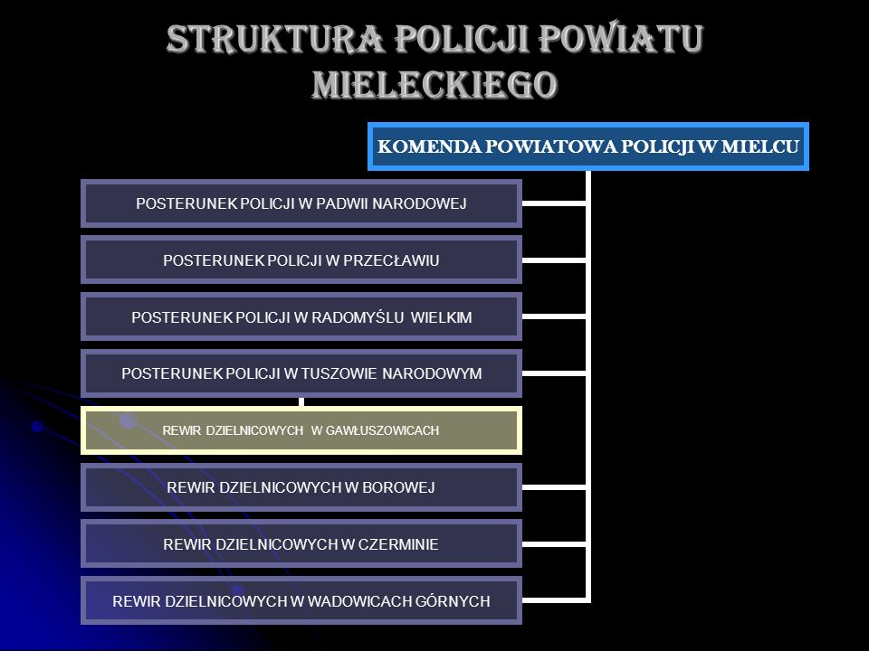 STRUKTURA POLICJI POWIATU MIELECKIEGO