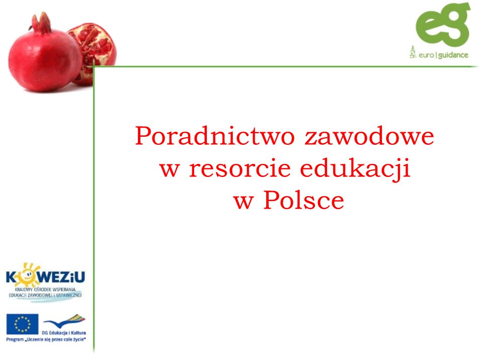 Poradnictwo zawodowe w resorcie edukacji w Polsce