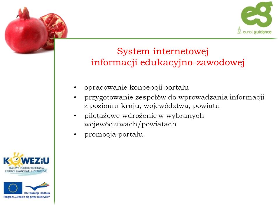 System internetowej informacji edukacyjno-zawodowej