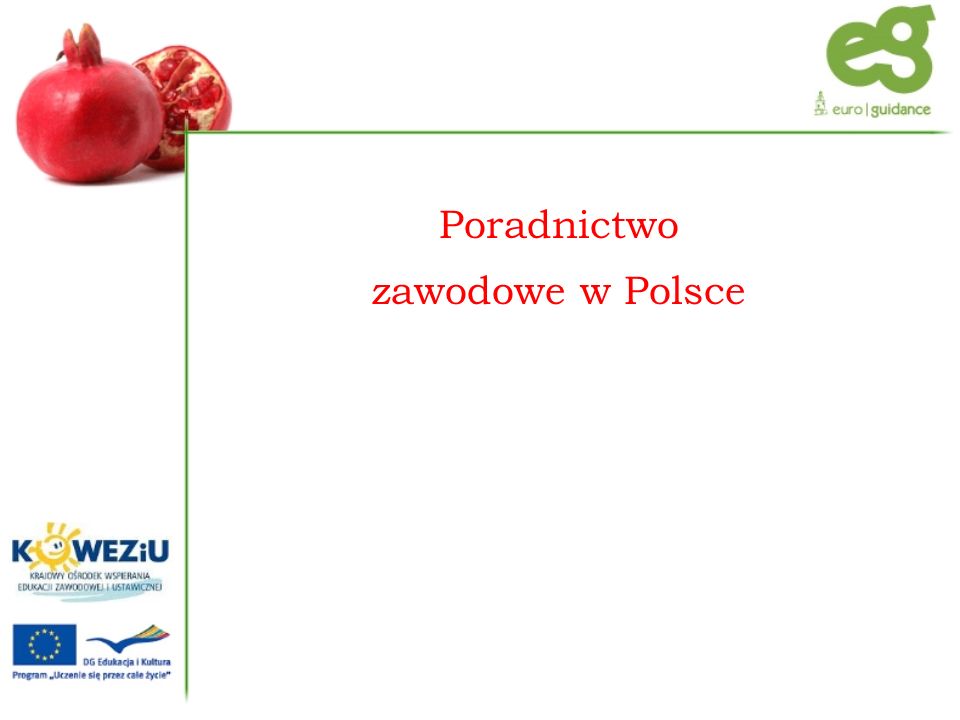 Poradnictwo zawodowe w Polsce