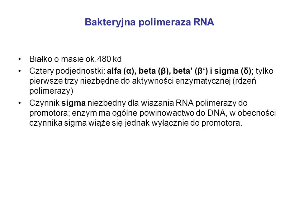 Bakteryjna polimeraza RNA
