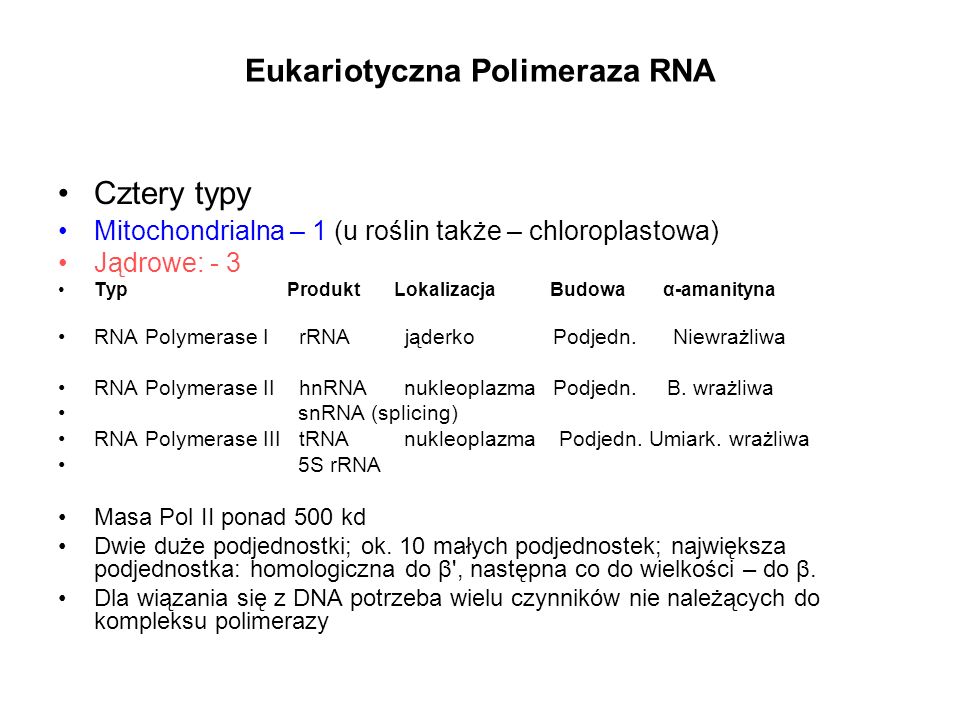 Eukariotyczna Polimeraza RNA