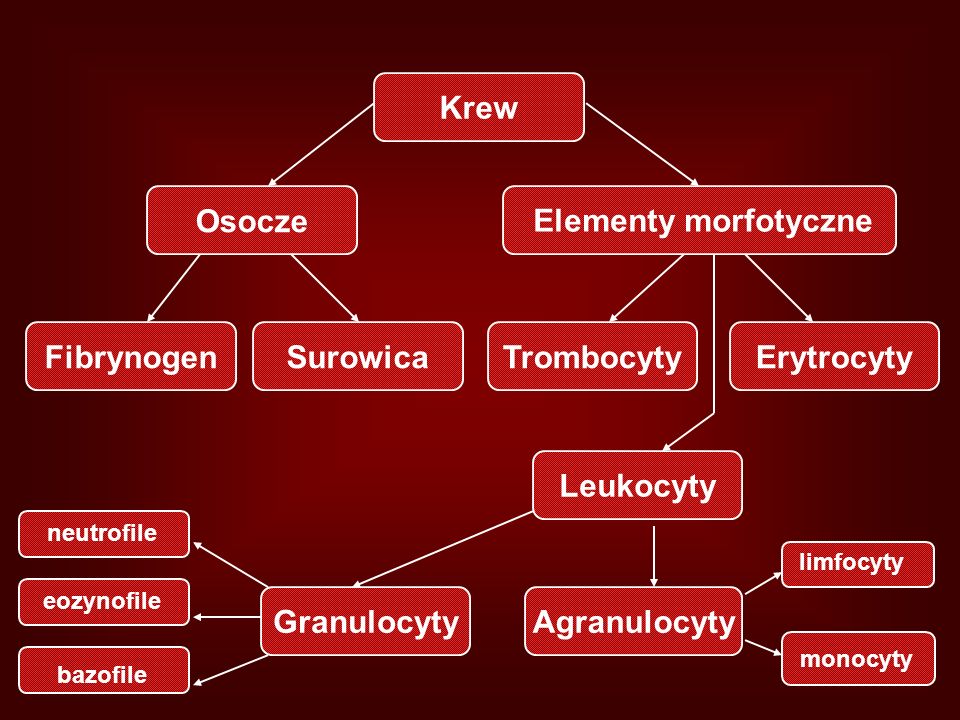 Krew Osocze Elementy morfotyczne Fibrynogen Surowica Trombocyty