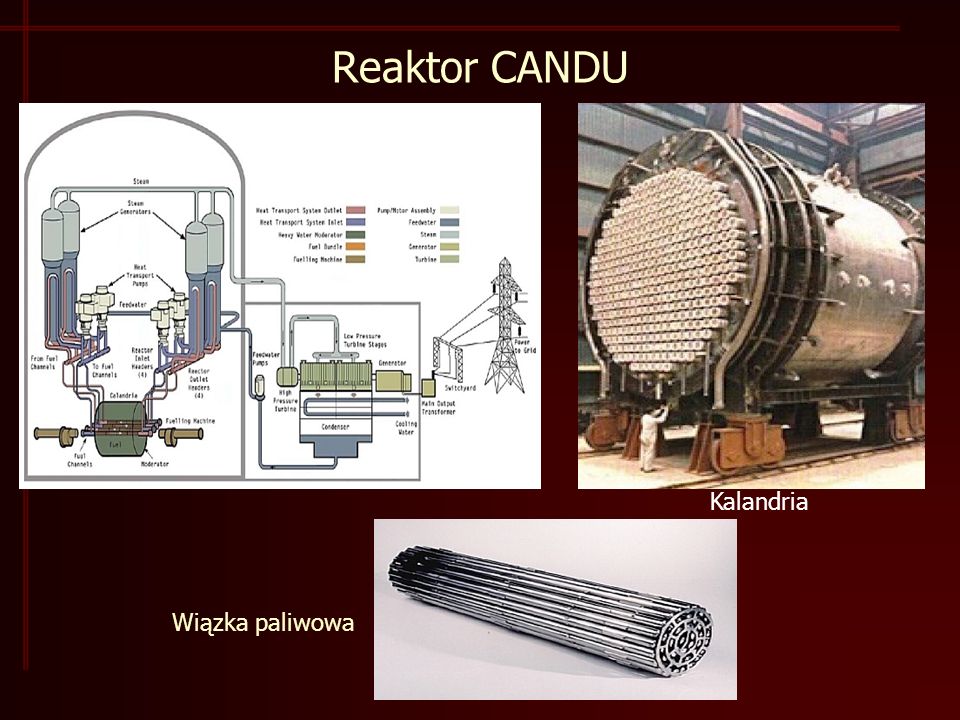 Reaktor CANDU Kalandria Wiązka paliwowa