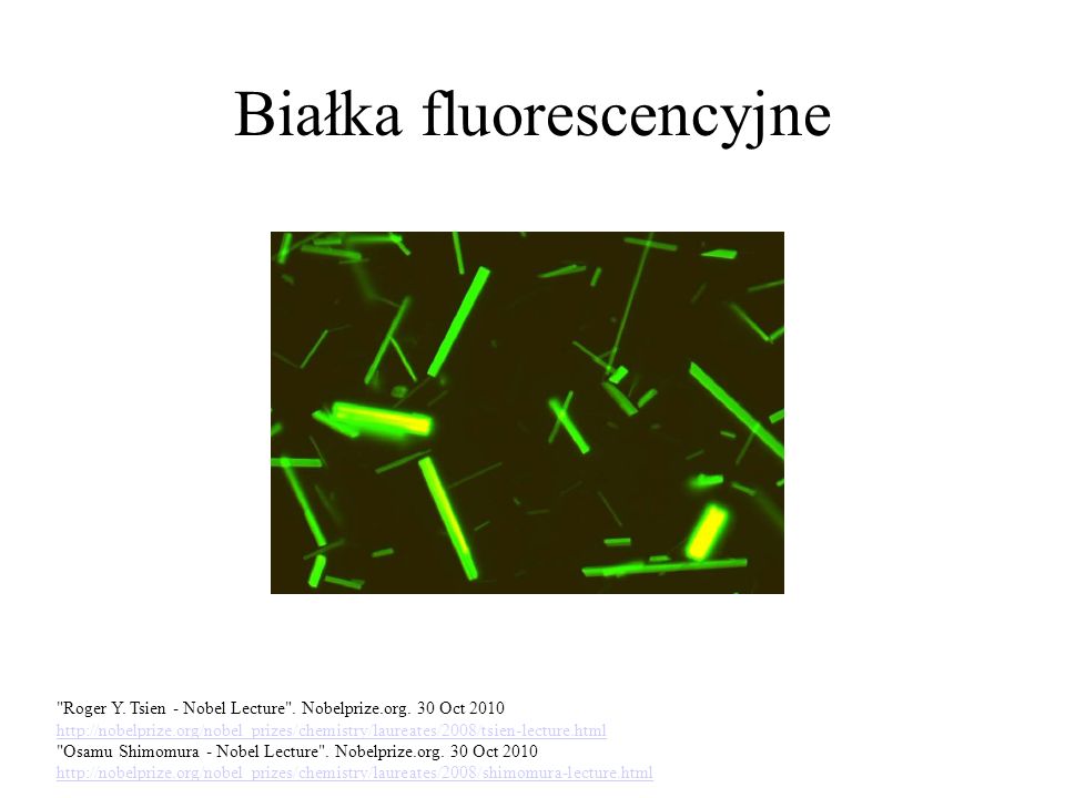 Białka fluorescencyjne