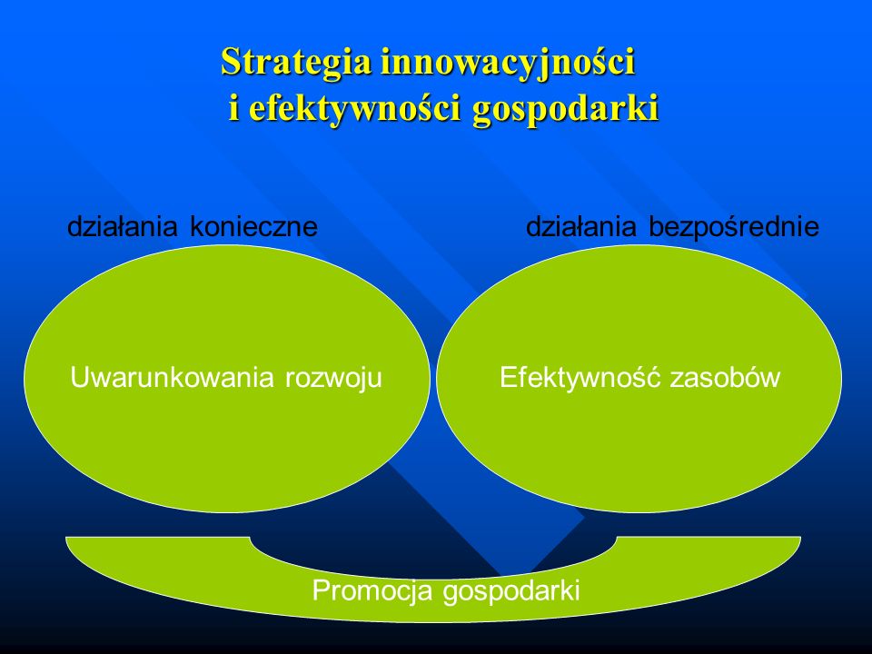 Strategia innowacyjności i efektywności gospodarki