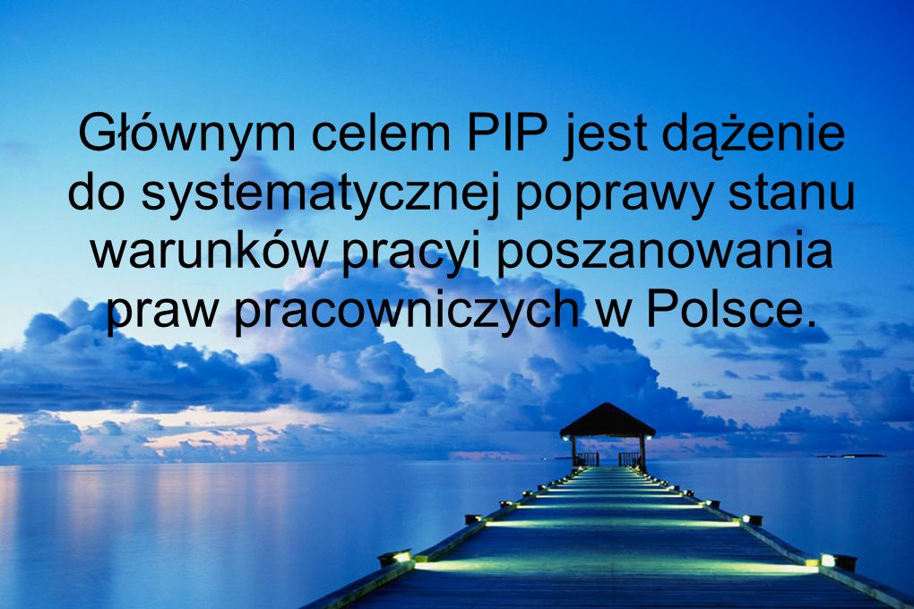 Głównym celem PIP jest dążenie do systematycznej poprawy stanu warunków pracyi poszanowania praw pracowniczych w Polsce.