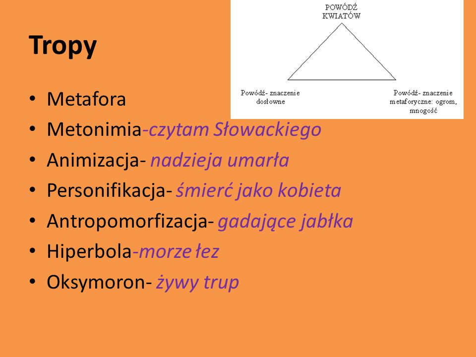 Tropy Metafora Metonimia-czytam Słowackiego