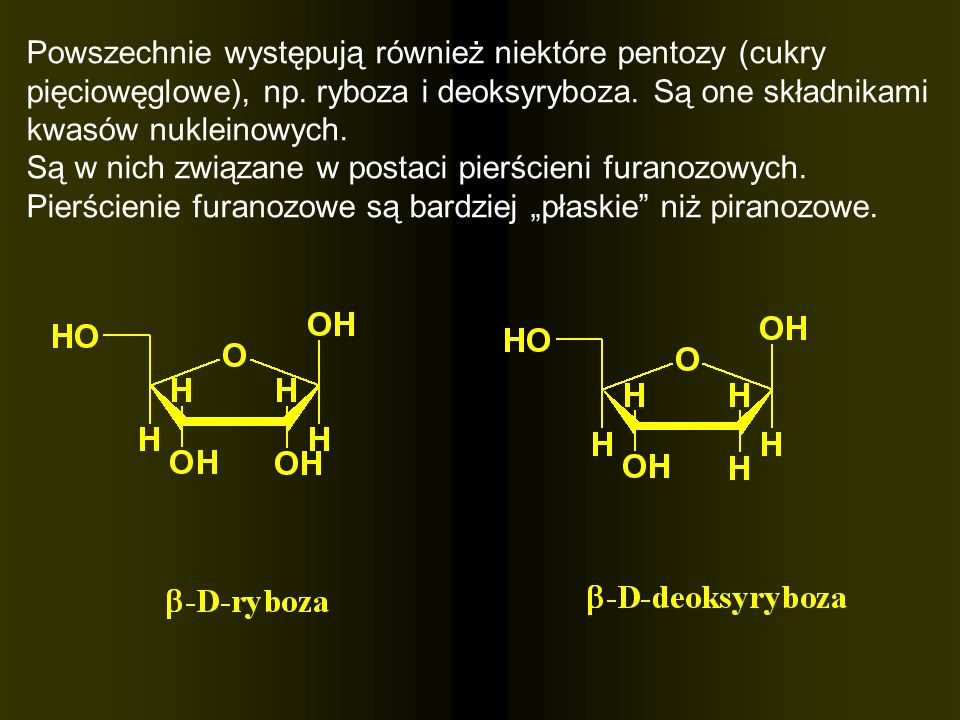 Powszechnie występują również niektóre pentozy (cukry pięciowęglowe), np. ryboza i deoksyryboza. Są one składnikami kwasów nukleinowych.