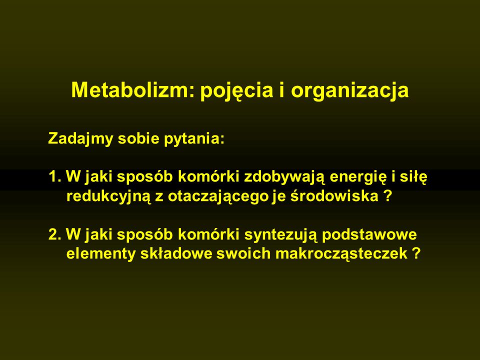Metabolizm: pojęcia i organizacja