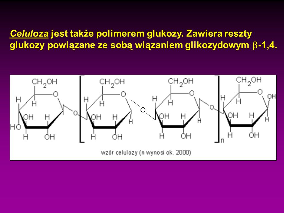 Celuloza jest także polimerem glukozy