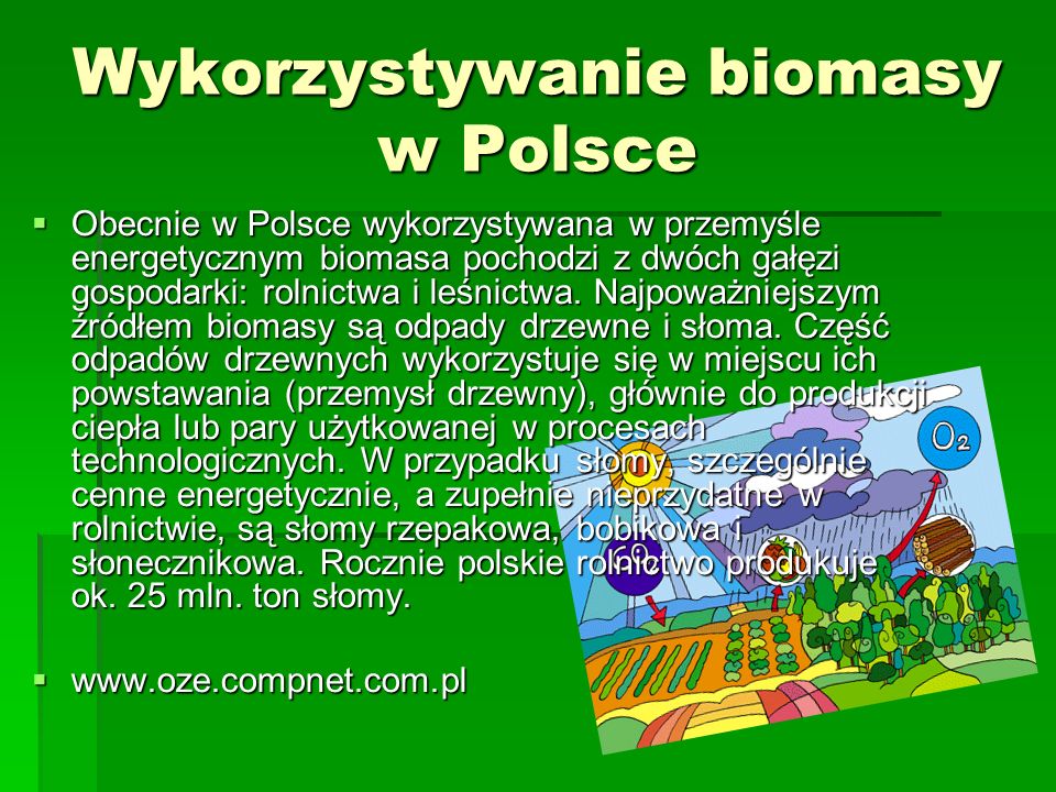 Wykorzystywanie biomasy w Polsce