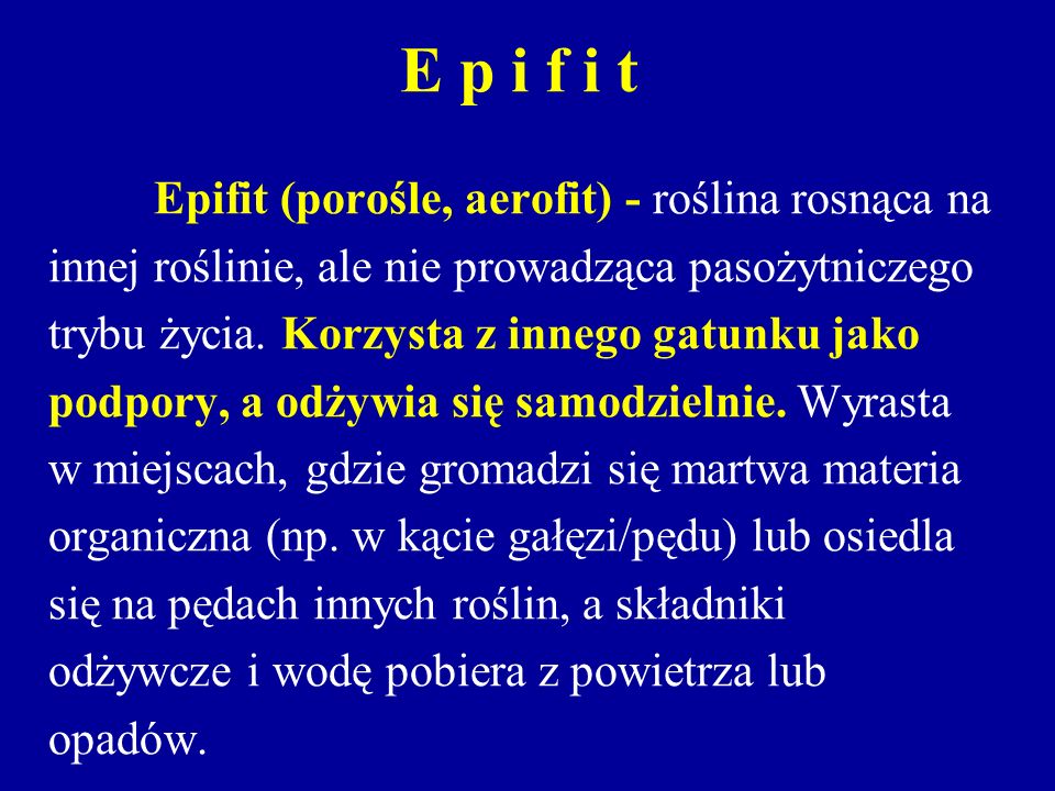 E p i f i t Epifit (porośle, aerofit) - roślina rosnąca na