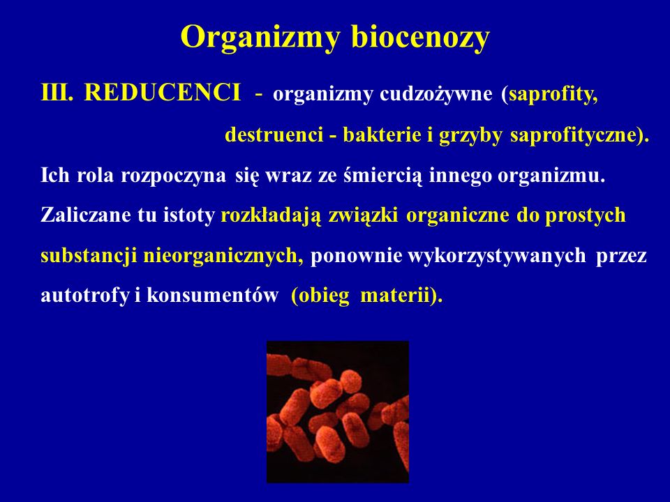 Organizmy biocenozy III. REDUCENCI - organizmy cudzożywne (saprofity,