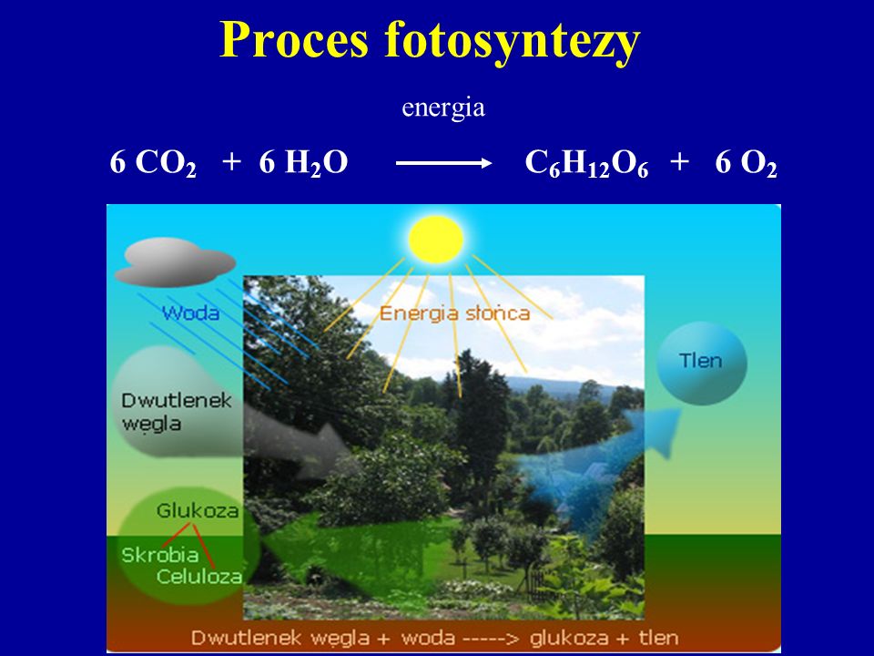 Proces fotosyntezy energia 6 CO2 + 6 H2O C6H12O6 + 6 O2