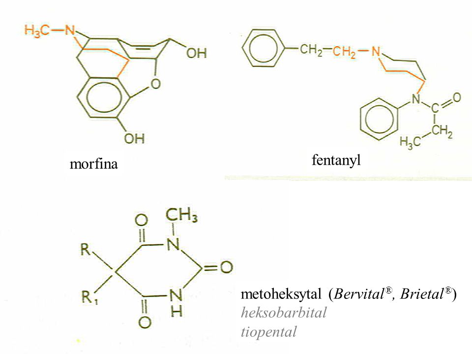 fentanyl morfina metoheksytal (Bervital®, Brietal®) heksobarbital tiopental