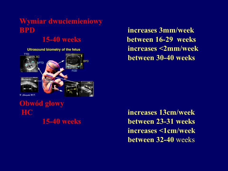 Wymiar dwuciemieniowy BPD increases 3mm/week