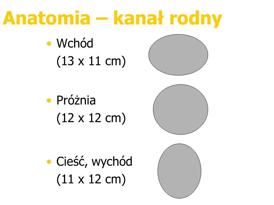 Anatomia – kanał rodny Wchód (13 x 11 cm) Próżnia (12 x 12 cm)