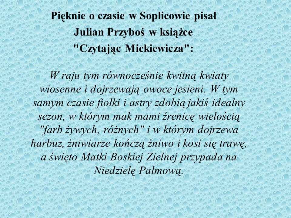 Pięknie o czasie w Soplicowie pisał Julian Przyboś w książce Czytając Mickiewicza : W raju tym równocześnie kwitną kwiaty wiosenne i dojrzewają owoce jesieni.