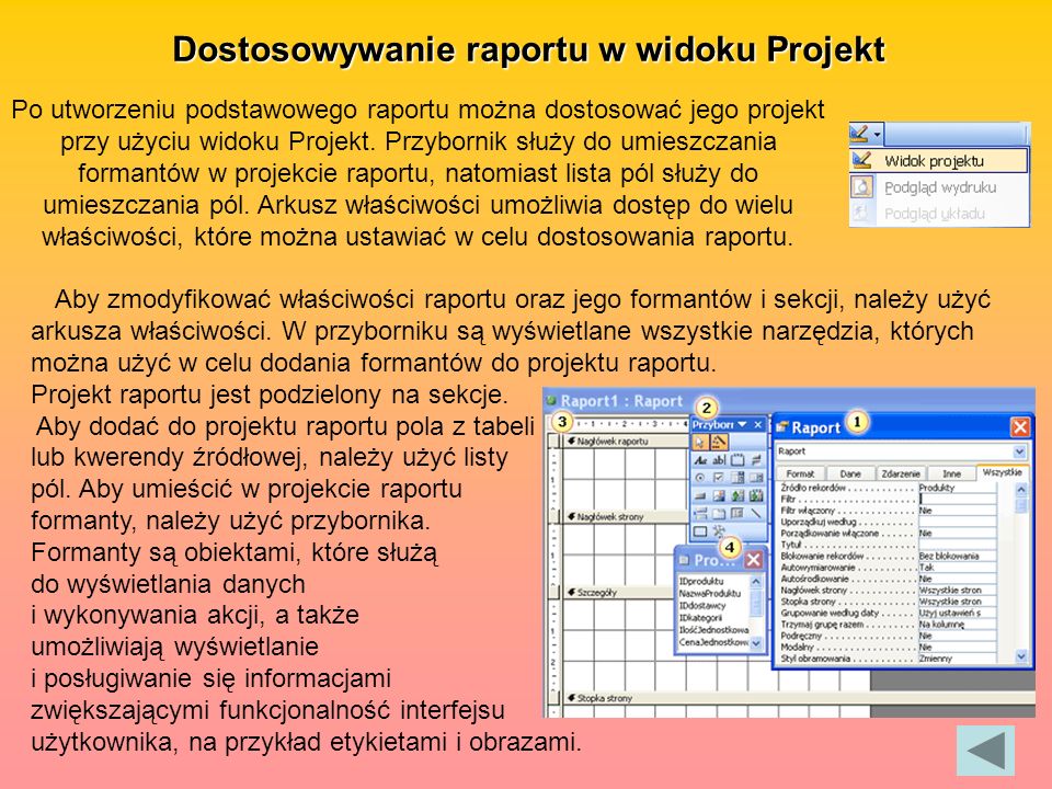 Dostosowywanie raportu w widoku Projekt