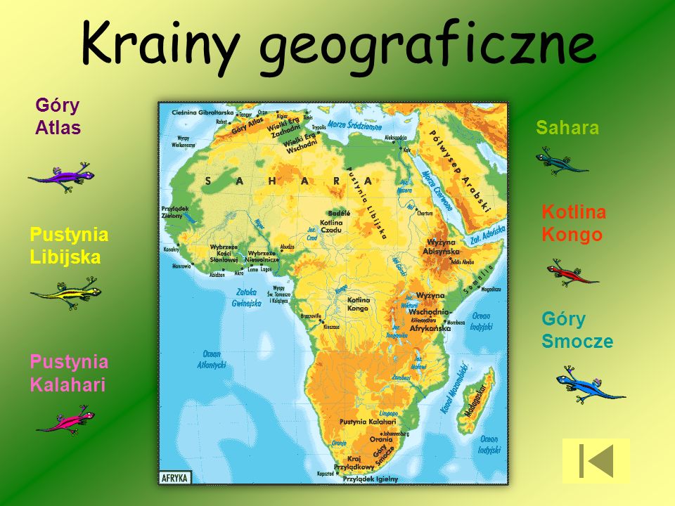 Krainy geograficzne Góry Atlas Sahara Kotlina Kongo Pustynia Libijska