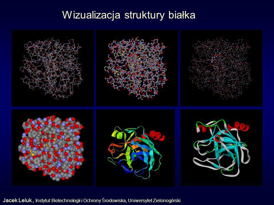 Wizualizacja struktury białka