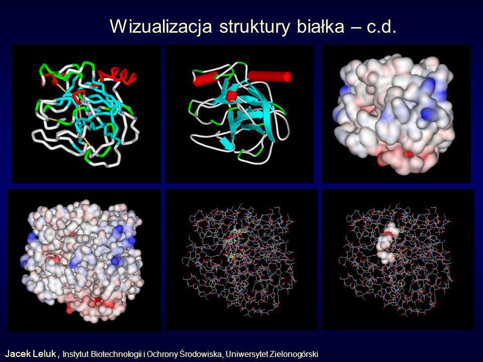 Wizualizacja struktury białka – c.d.