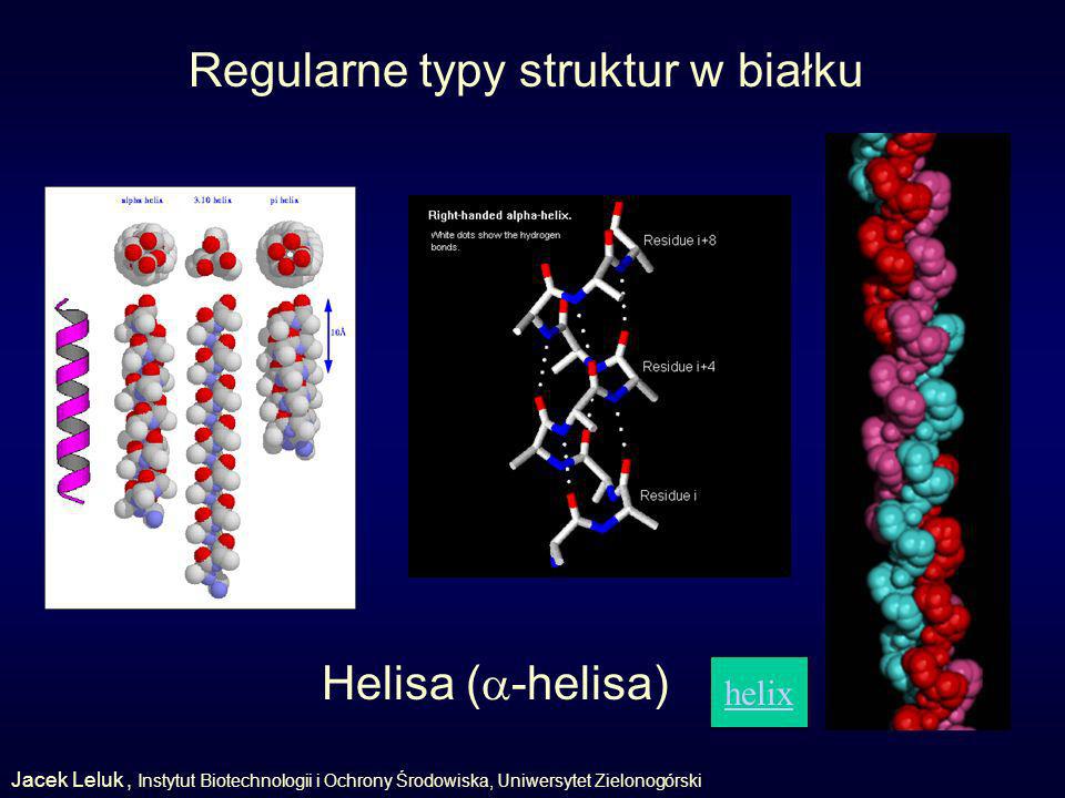 Regularne typy struktur w białku