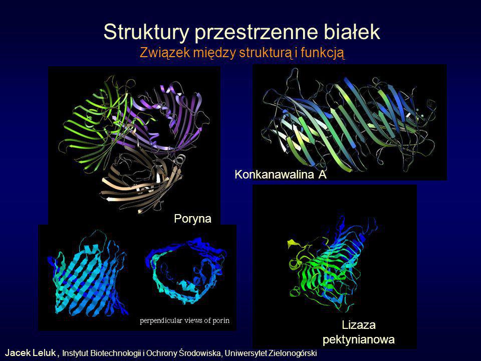Struktury przestrzenne białek