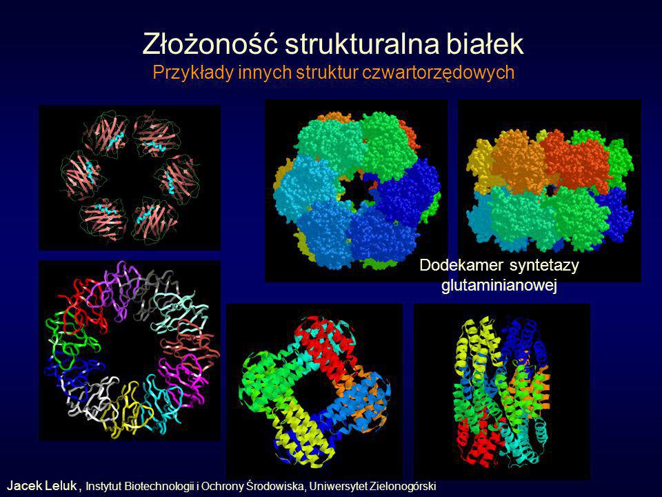 Złożoność strukturalna białek