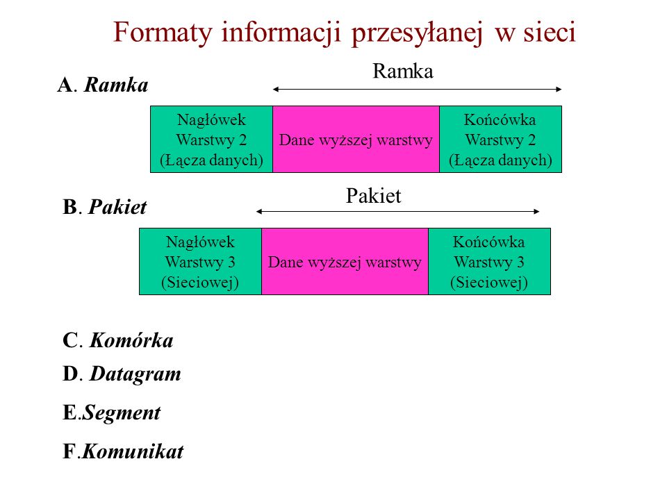 Formaty informacji przesyłanej w sieci