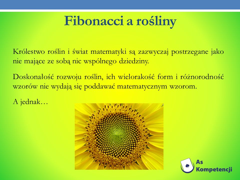 Fibonacci a rośliny