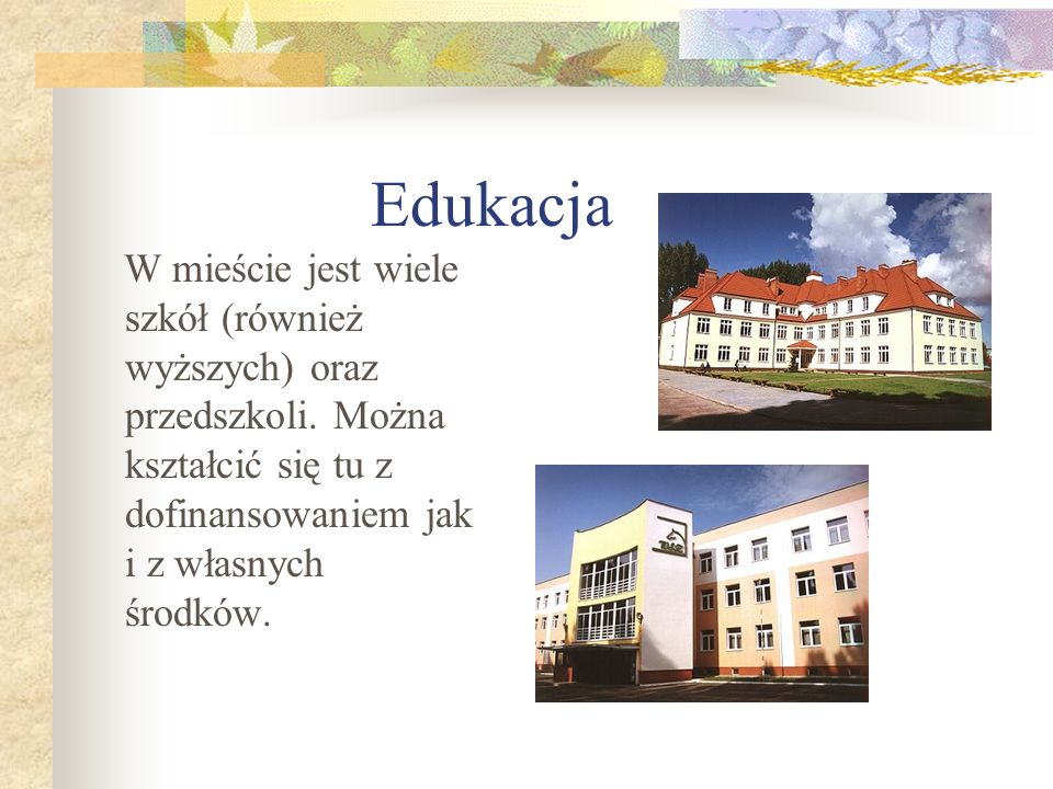 Edukacja W mieście jest wiele szkół (również wyższych) oraz przedszkoli.