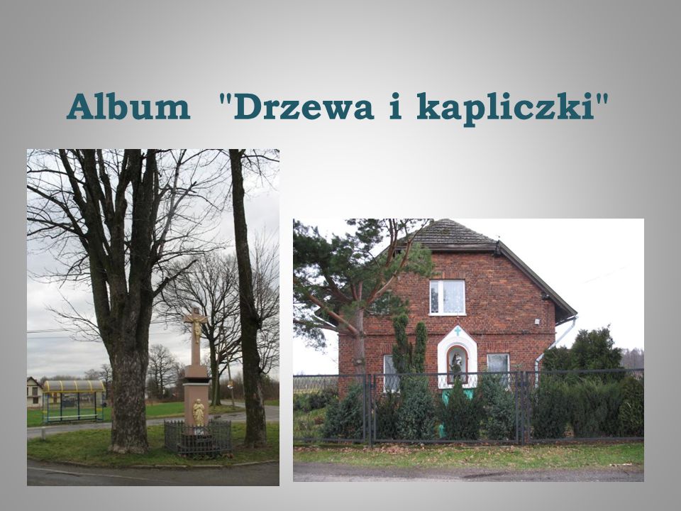 Album Drzewa i kapliczki