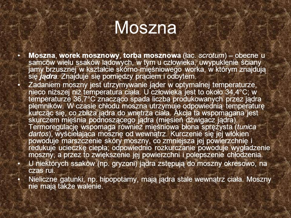Moszna