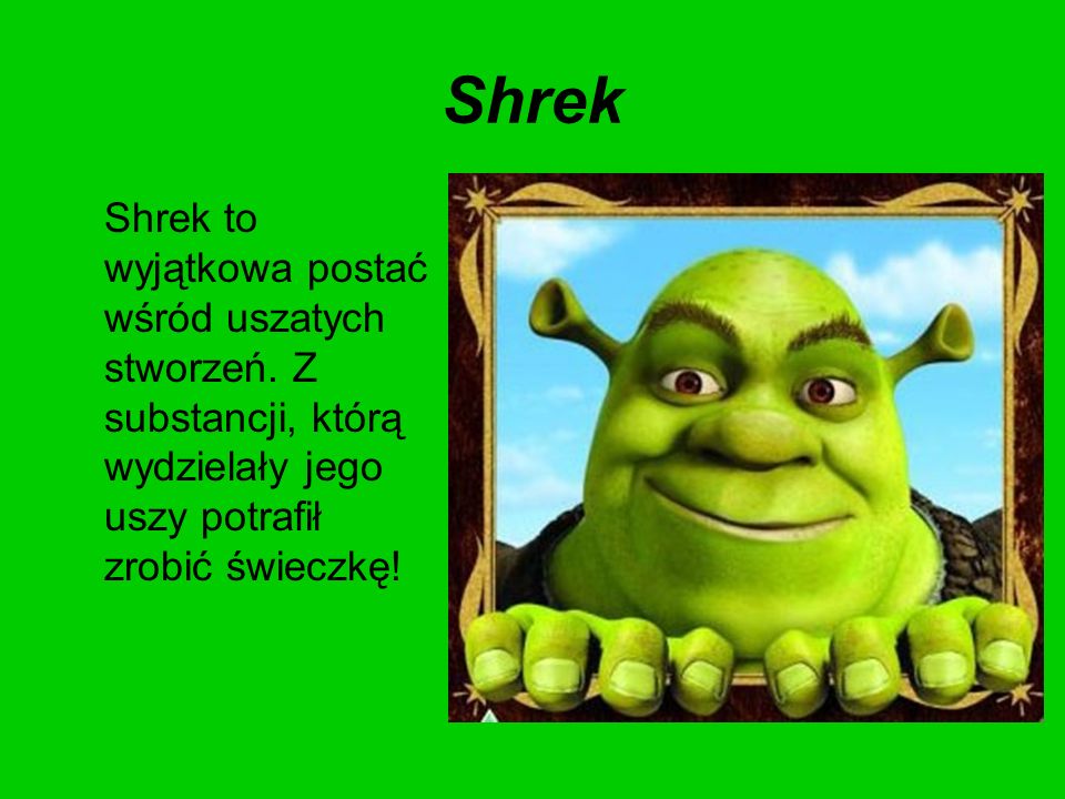 Shrek Shrek to wyjątkowa postać wśród uszatych stworzeń.