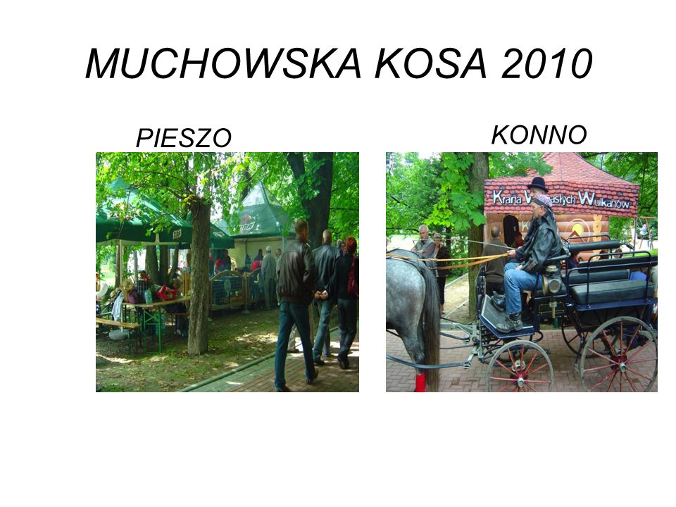 MUCHOWSKA KOSA 2010 PIESZO KONNO