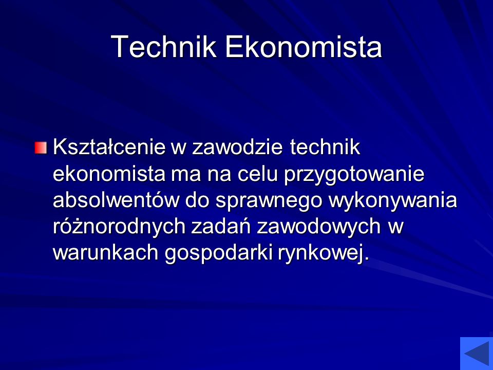 Technik Ekonomista