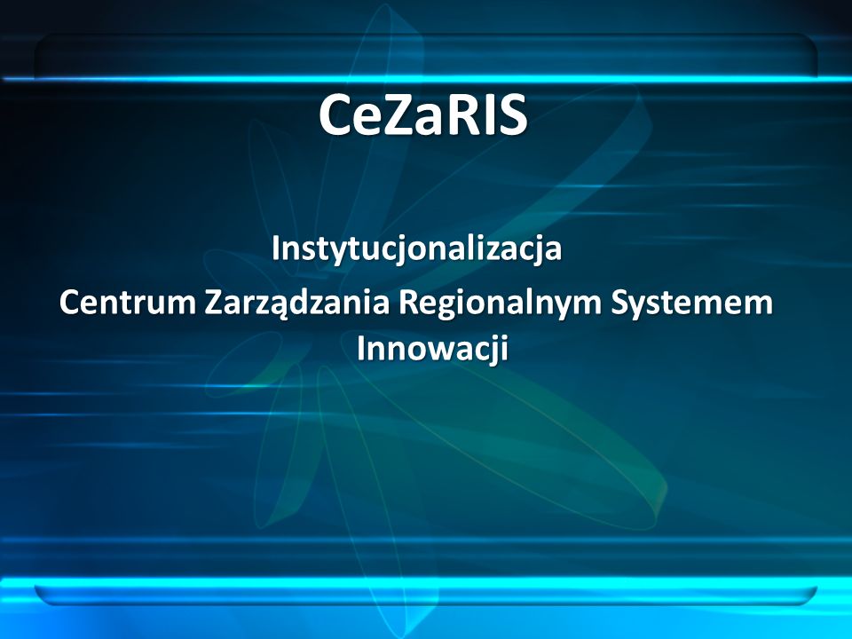 Instytucjonalizacja Centrum Zarządzania Regionalnym Systemem Innowacji