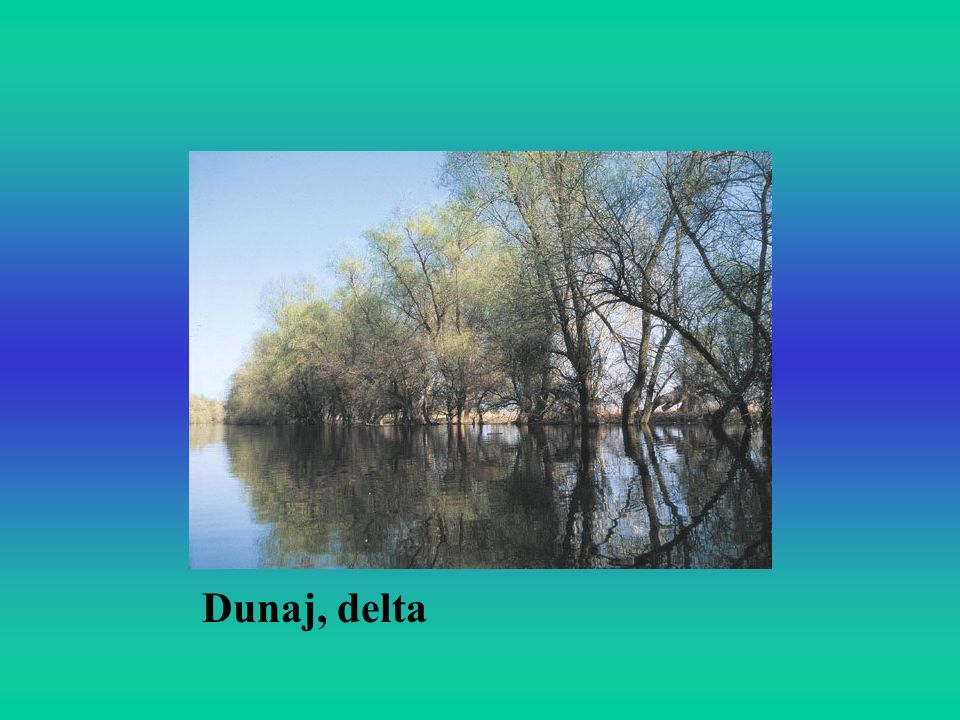 Dunaj, delta