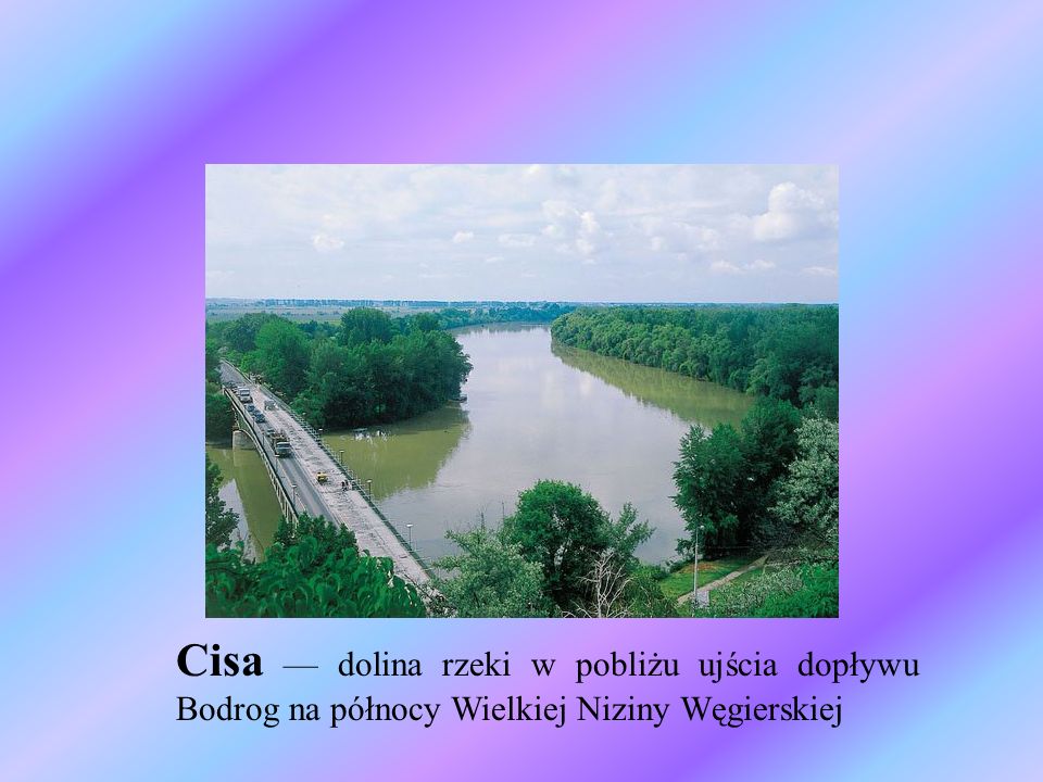 Cisa — dolina rzeki w pobliżu ujścia dopływu Bodrog na północy Wielkiej Niziny Węgierskiej