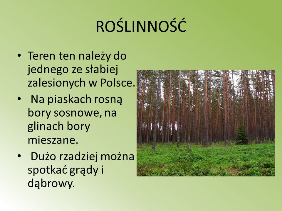 ROŚLINNOŚĆ Teren ten należy do jednego ze słabiej zalesionych w Polsce. Na piaskach rosną bory sosnowe, na glinach bory mieszane.