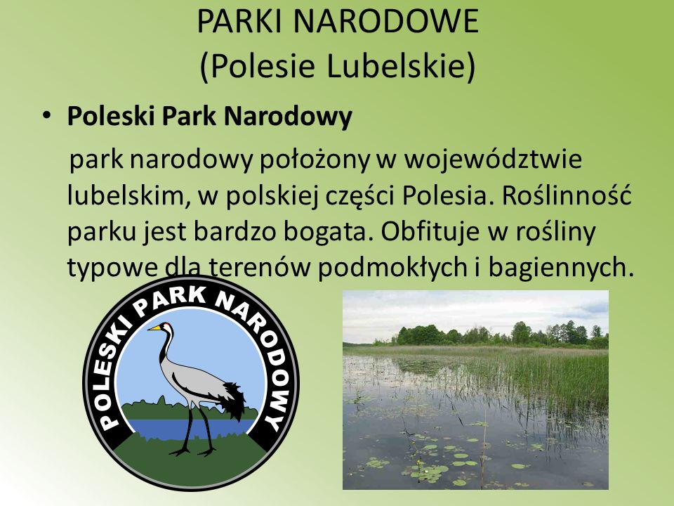 PARKI NARODOWE (Polesie Lubelskie)