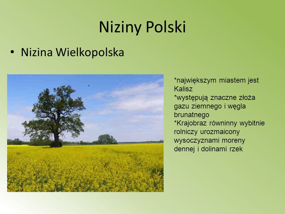 Niziny Polski Nizina Wielkopolska