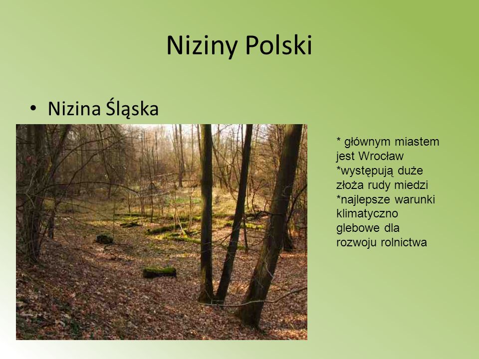 Niziny Polski Nizina Śląska
