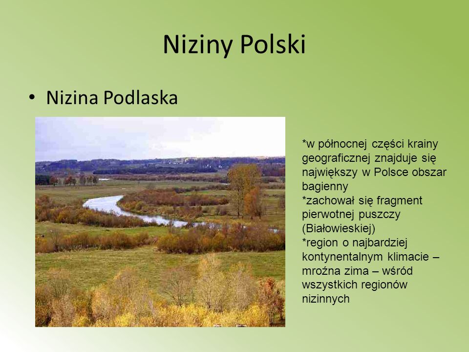 Niziny Polski Nizina Podlaska